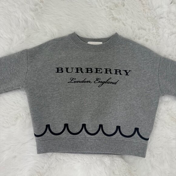 Burberry Grey Crop Sweatshirt - Picture 1 of 8